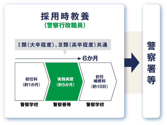 採用時教養